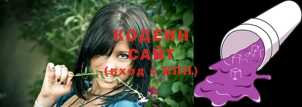 индика Куйбышев