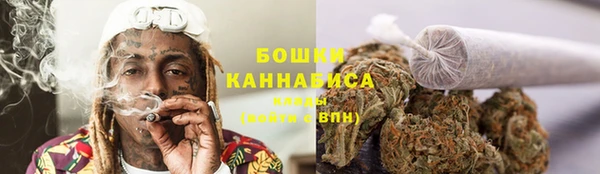 ГАЛЛЮЦИНОГЕННЫЕ ГРИБЫ Кукмор