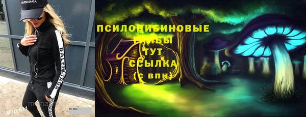 ГАЛЛЮЦИНОГЕННЫЕ ГРИБЫ Кукмор