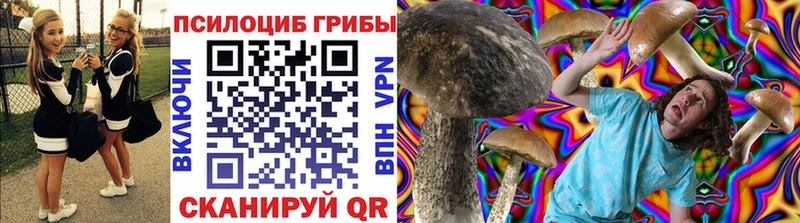 Псилоцибиновые грибы Psilocybine cubensis ОМГ ОМГ зеркало Моршанск