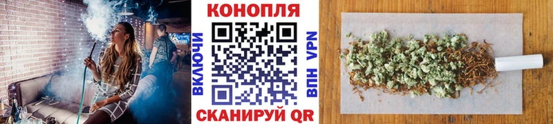 Бошки Шишки сатива Моршанск